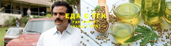 дурь Заводоуковск