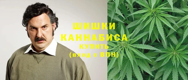 дурь Заводоуковск